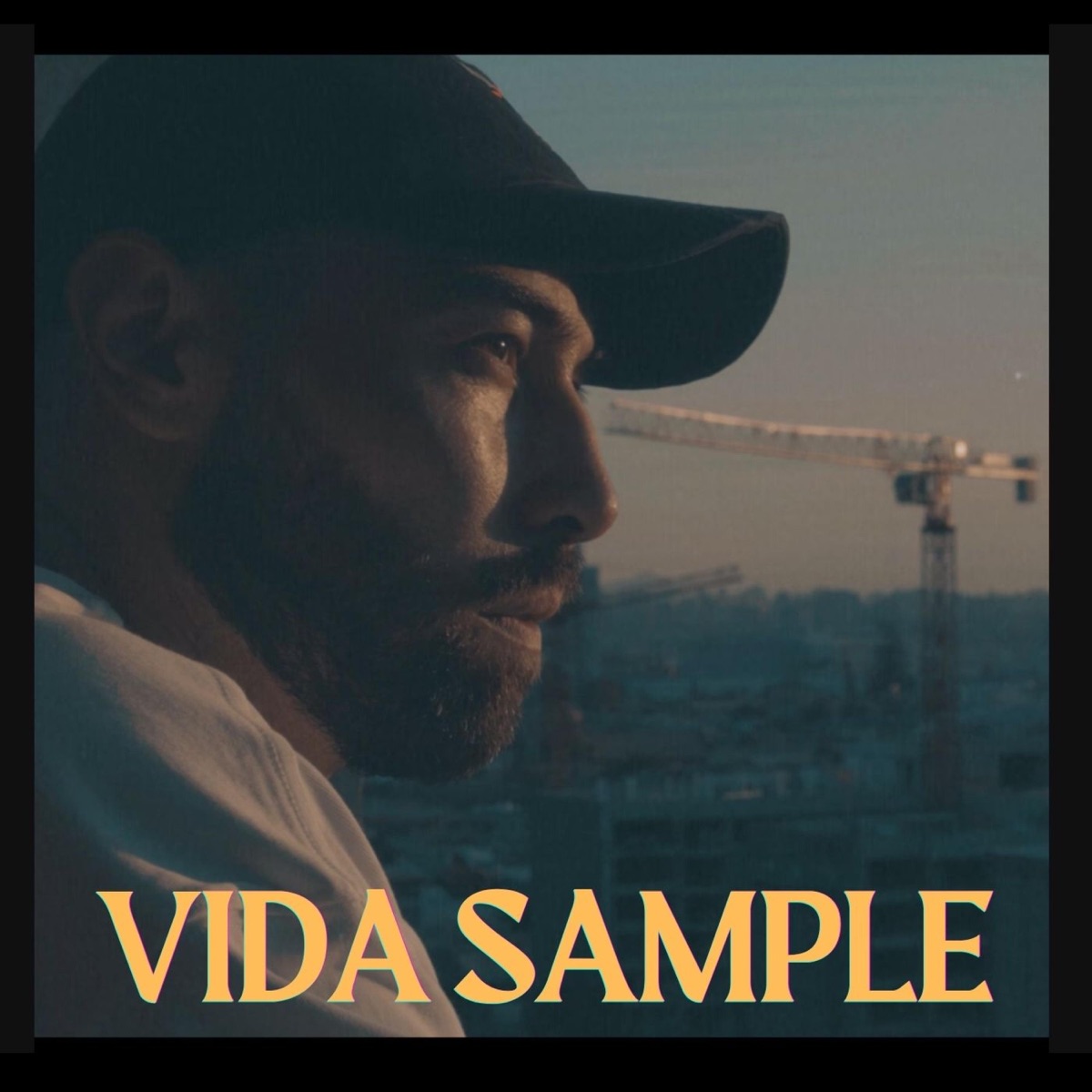 Vida Sample (feat. Dj Ropo) - Single by Roberack album cover