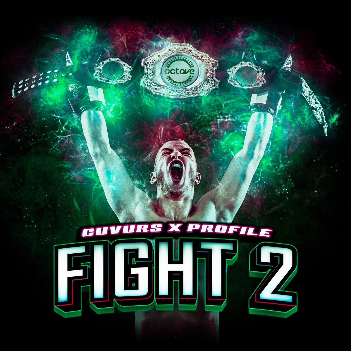 Fight 2 (VIP) - Single by Cuvurs & Profile album cover