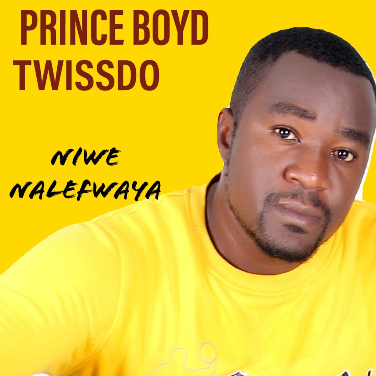 Niwe Nalefwaya (feat. Twissdo) - Single by Prince Boyd album cover