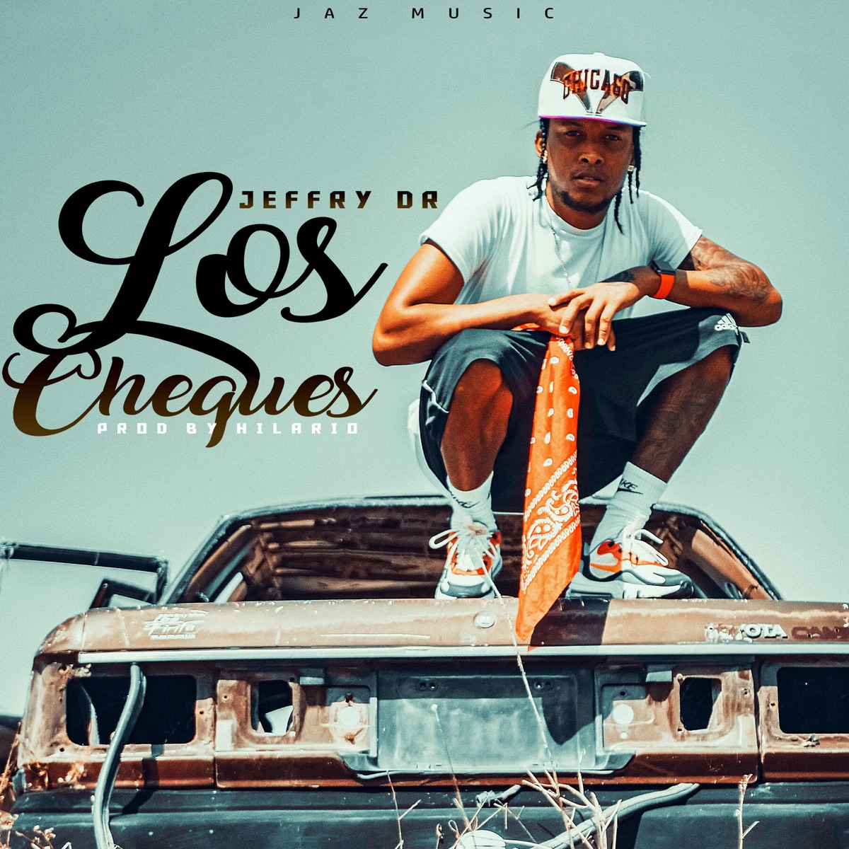 Los Cheques - Single by Jeffry DR album cover