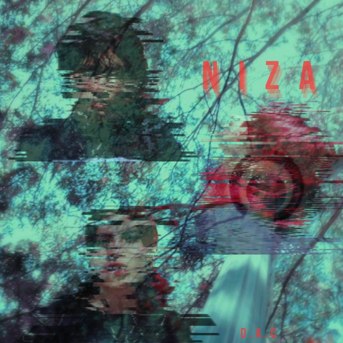 Niza - Single by D.A.C album cover
