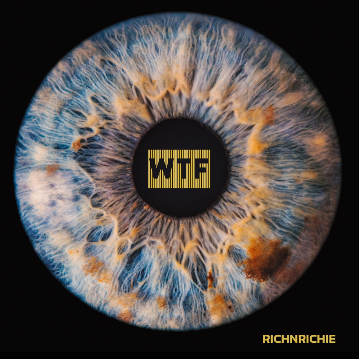 WTF (Demo) - Single by RichNRichie & Legion Beats album cover
