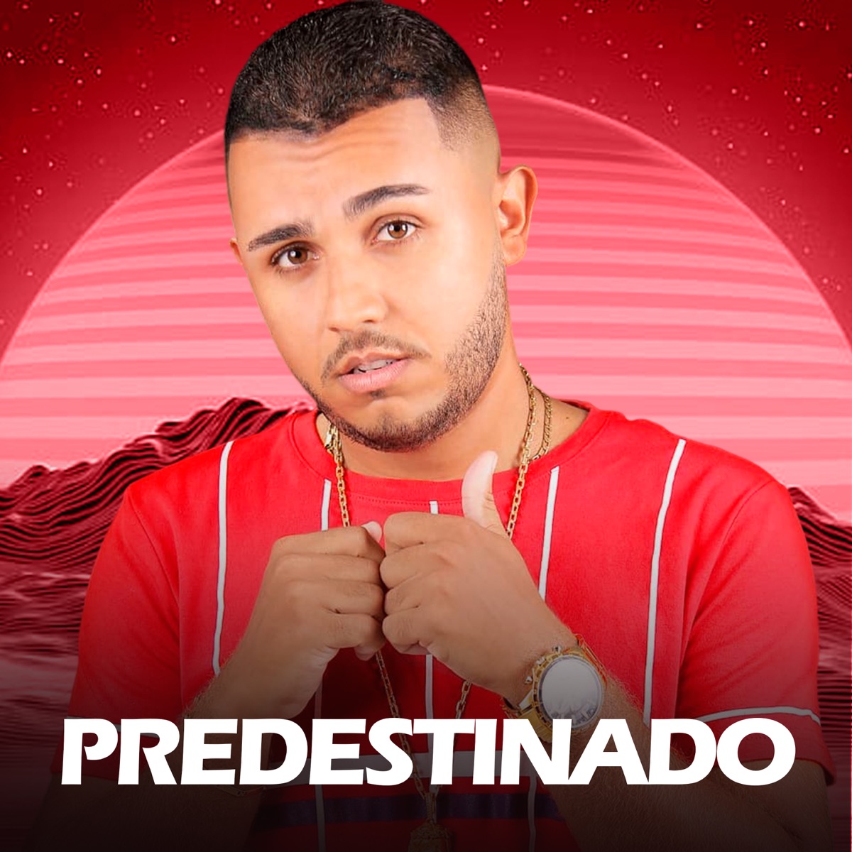 Predestinado (Cover) - Single by Rafael o Brabo album cover