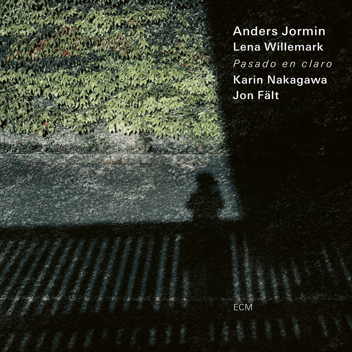 Pasado en claro by Anders Jormin, Lena Willemark, Karin Nakagawa & Jon Fält album cover