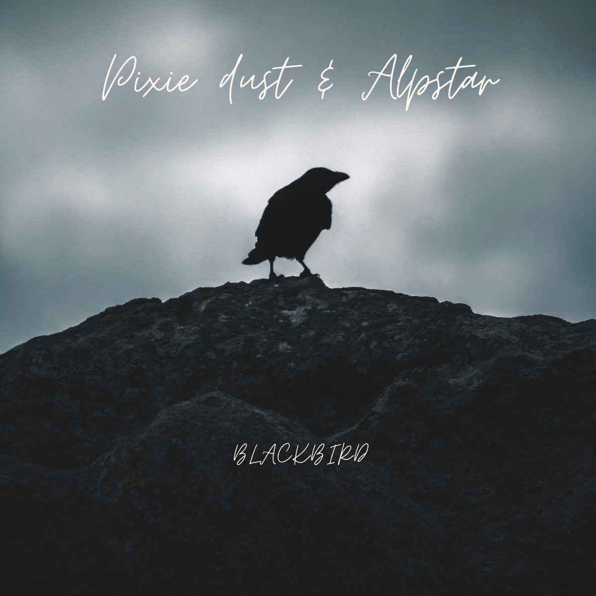 Blackbird - Single by Pixie Dust & Alpstar album cover