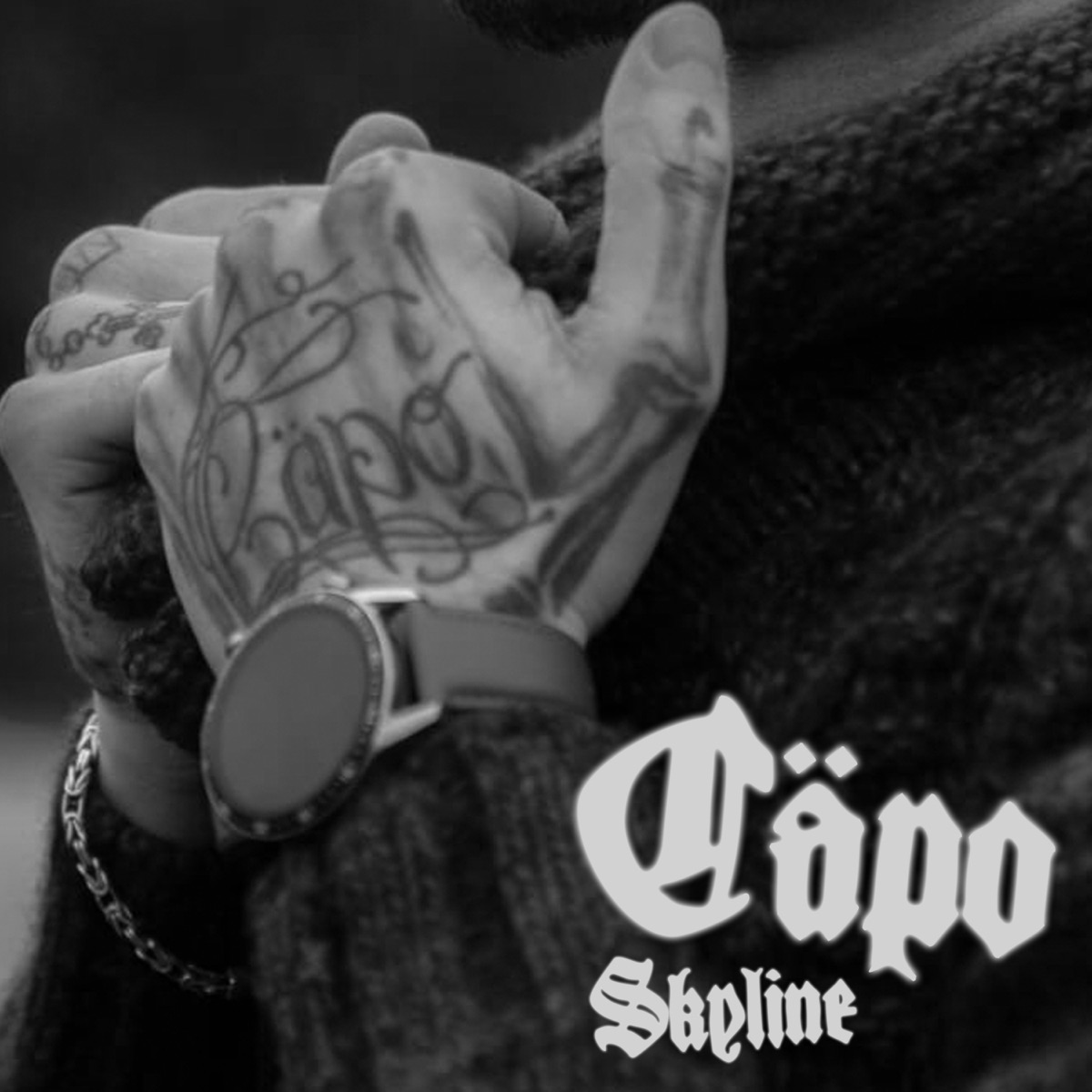 Skyline - Single by Cäpo album cover