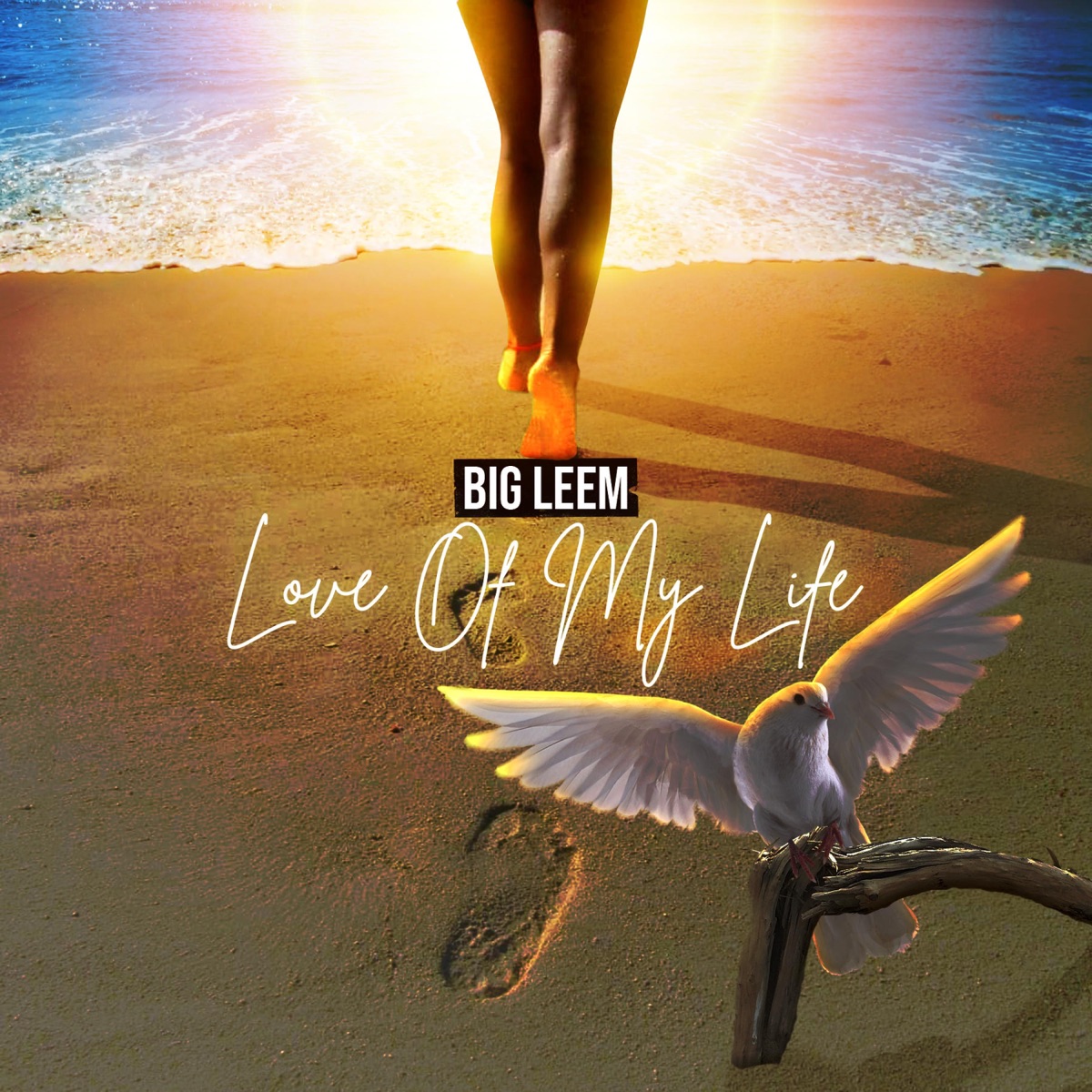 Love of my Life (feat. Somsoem) - Single by Big leem album cover