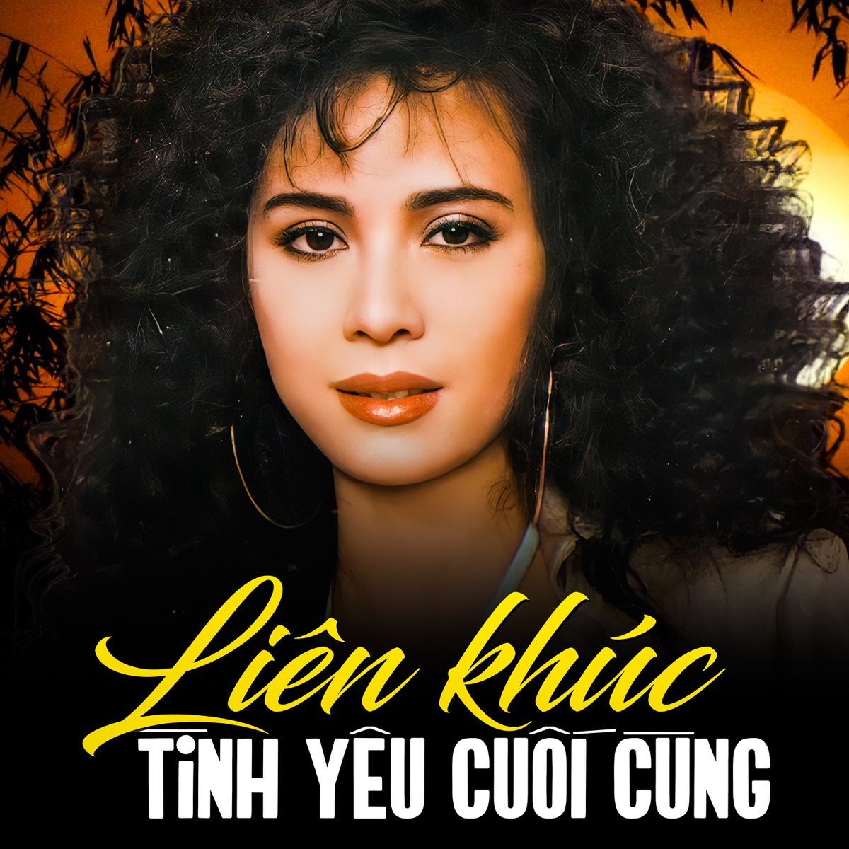 Liên Khúc Tình Yêu Cuối Cùng by Ngọc Lan, Trung Hành & Kiều Nga album cover