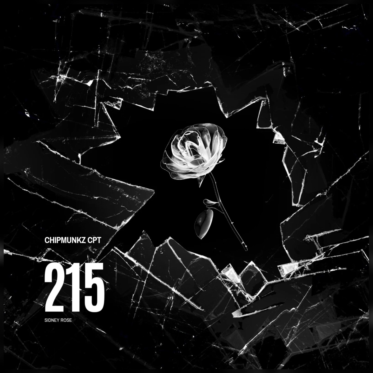 Hide and Seek by Chipmunkz CPT album cover