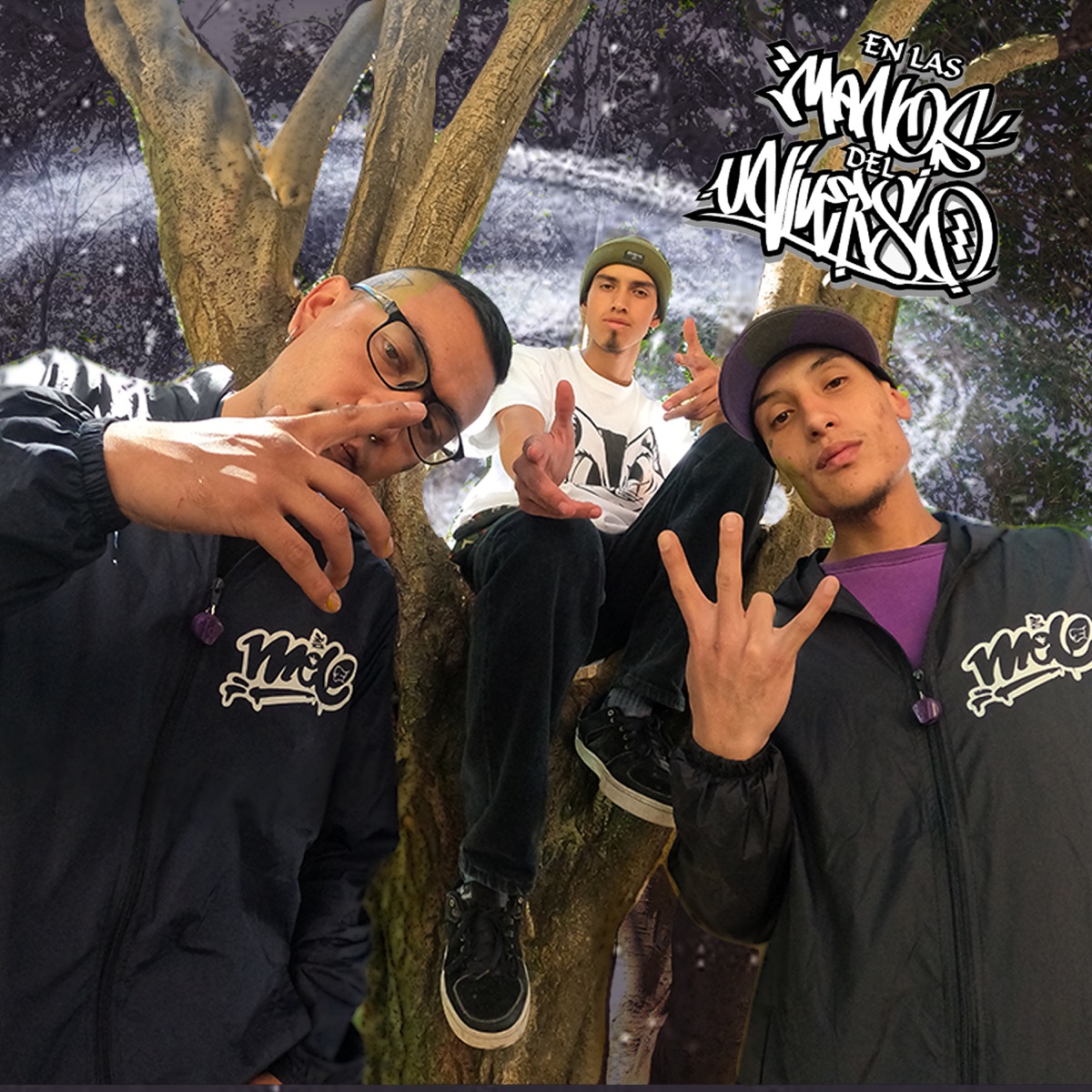 En las Manos del Universo (feat. Silent ADC & Ronin Gautama) - Single by Errante album cover
