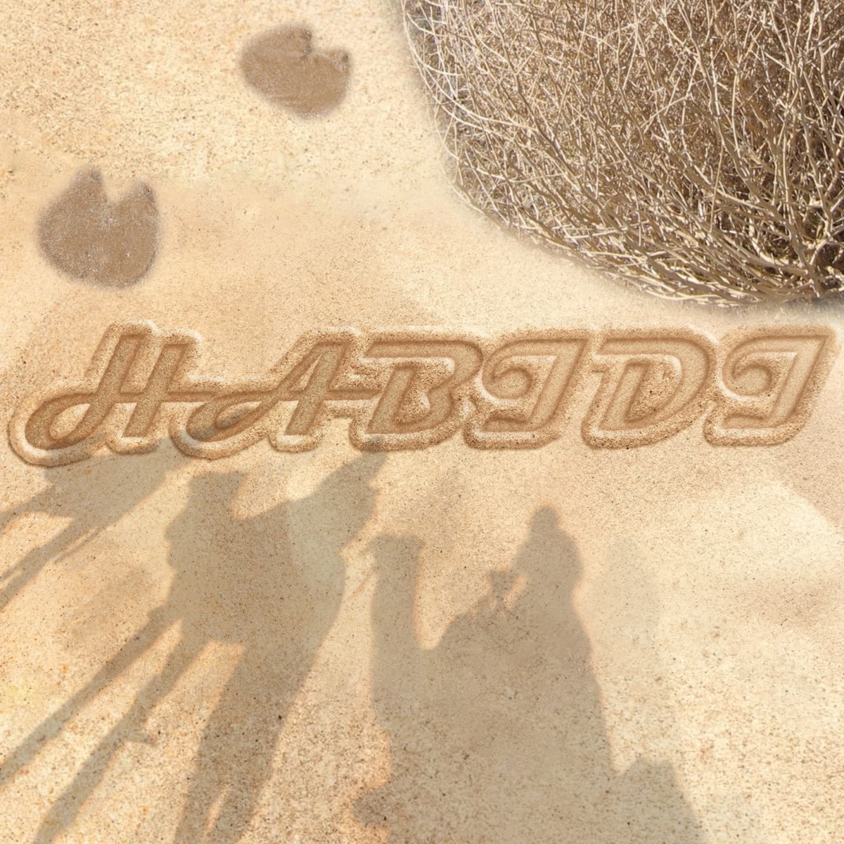 Habidi - Single by Papi Sweet album cover