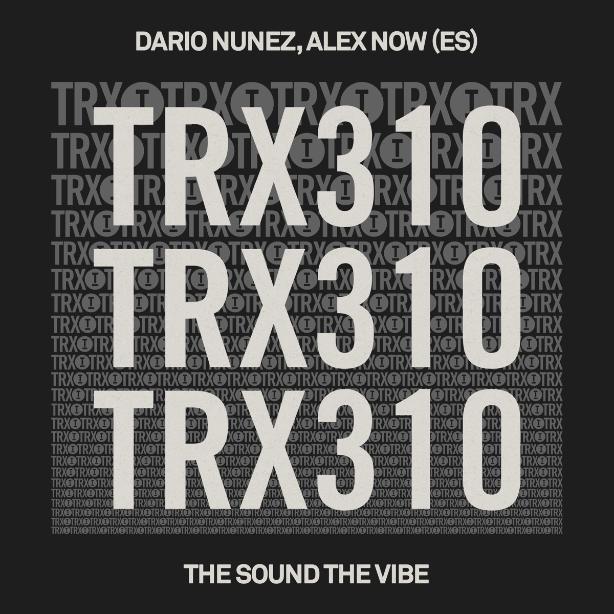 The Sound the Vibe - Single by Dario Nunez & Alex Now (ES) album cover