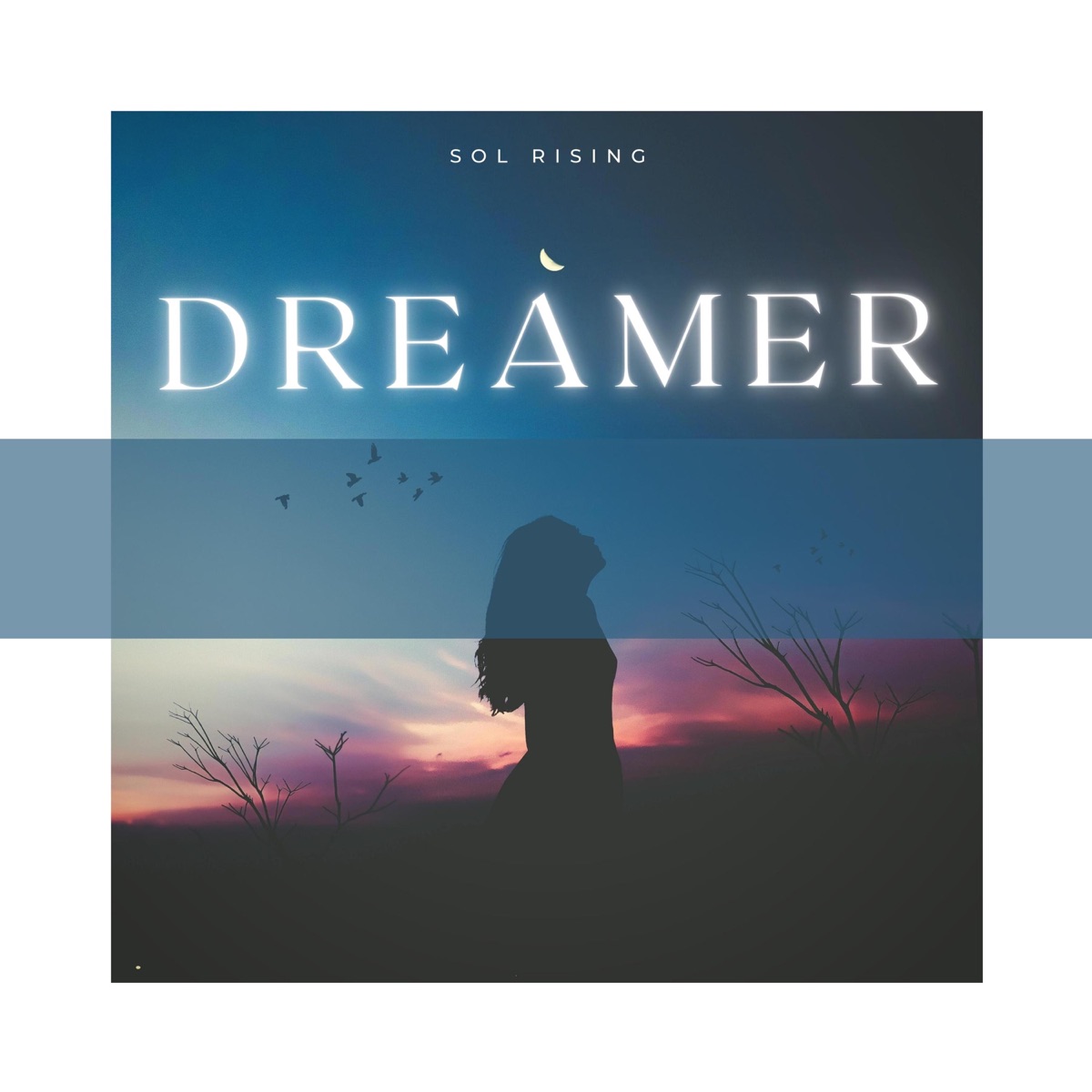 Dreamer by Sol Rising album cover