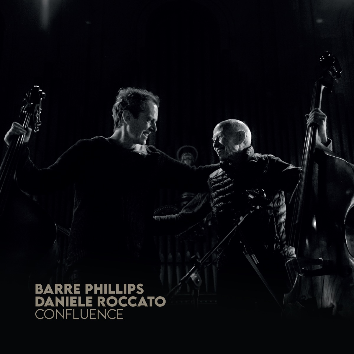 Confluence by Daniele Roccato album cover