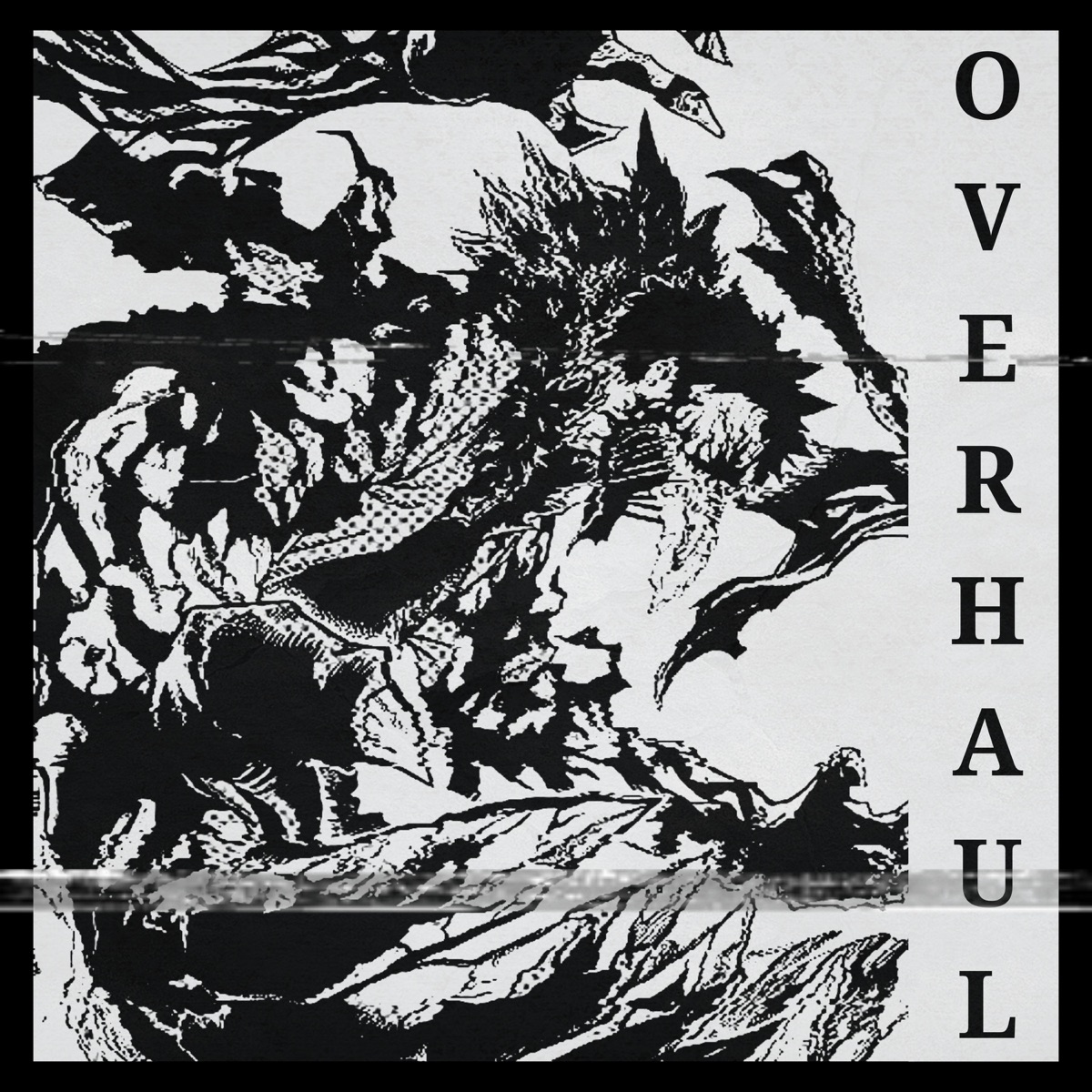 Overhaul - Single by 2ke album cover
