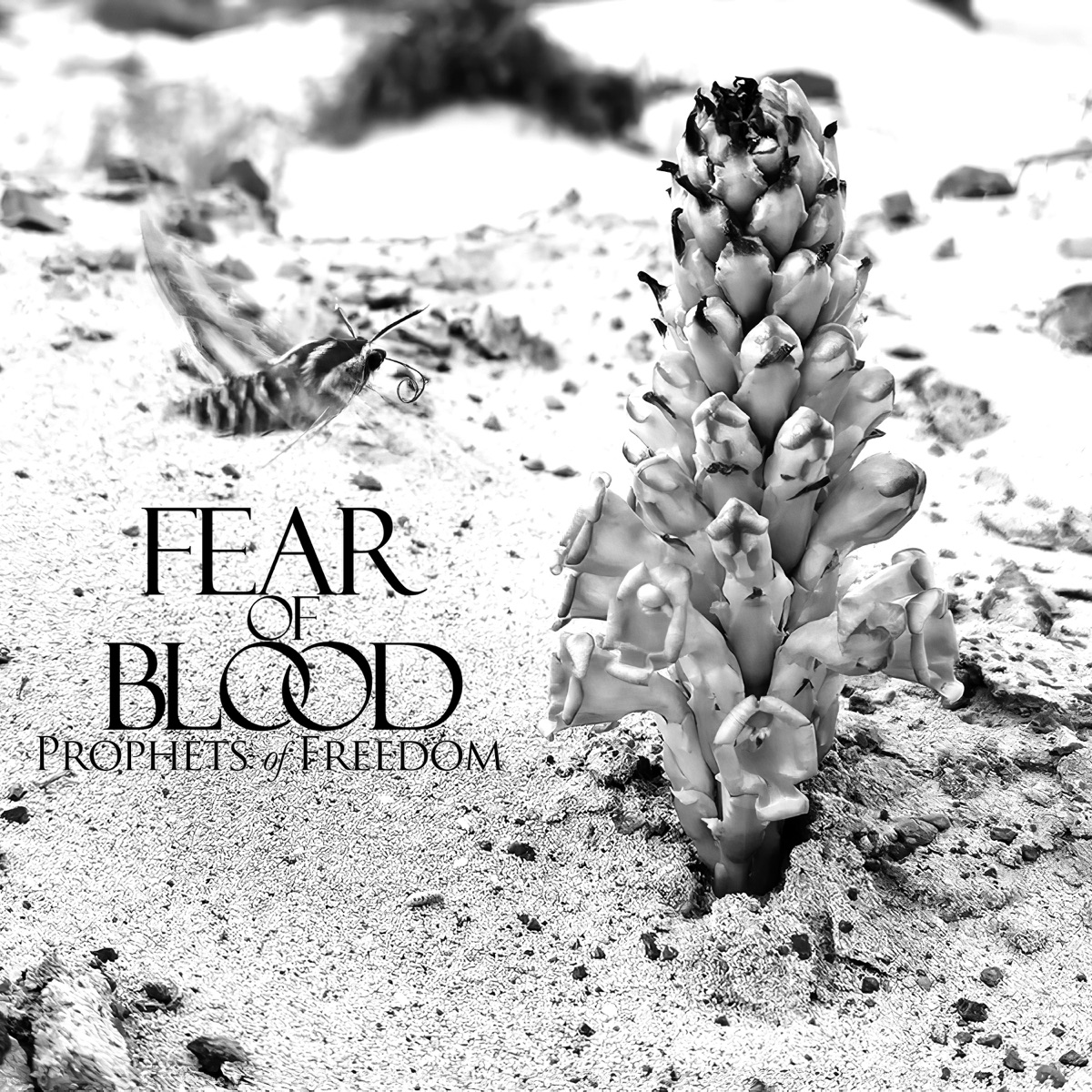 Prophets of Freedom (feat. Jarosław Niemiec) - Single by Fear of Blood album cover