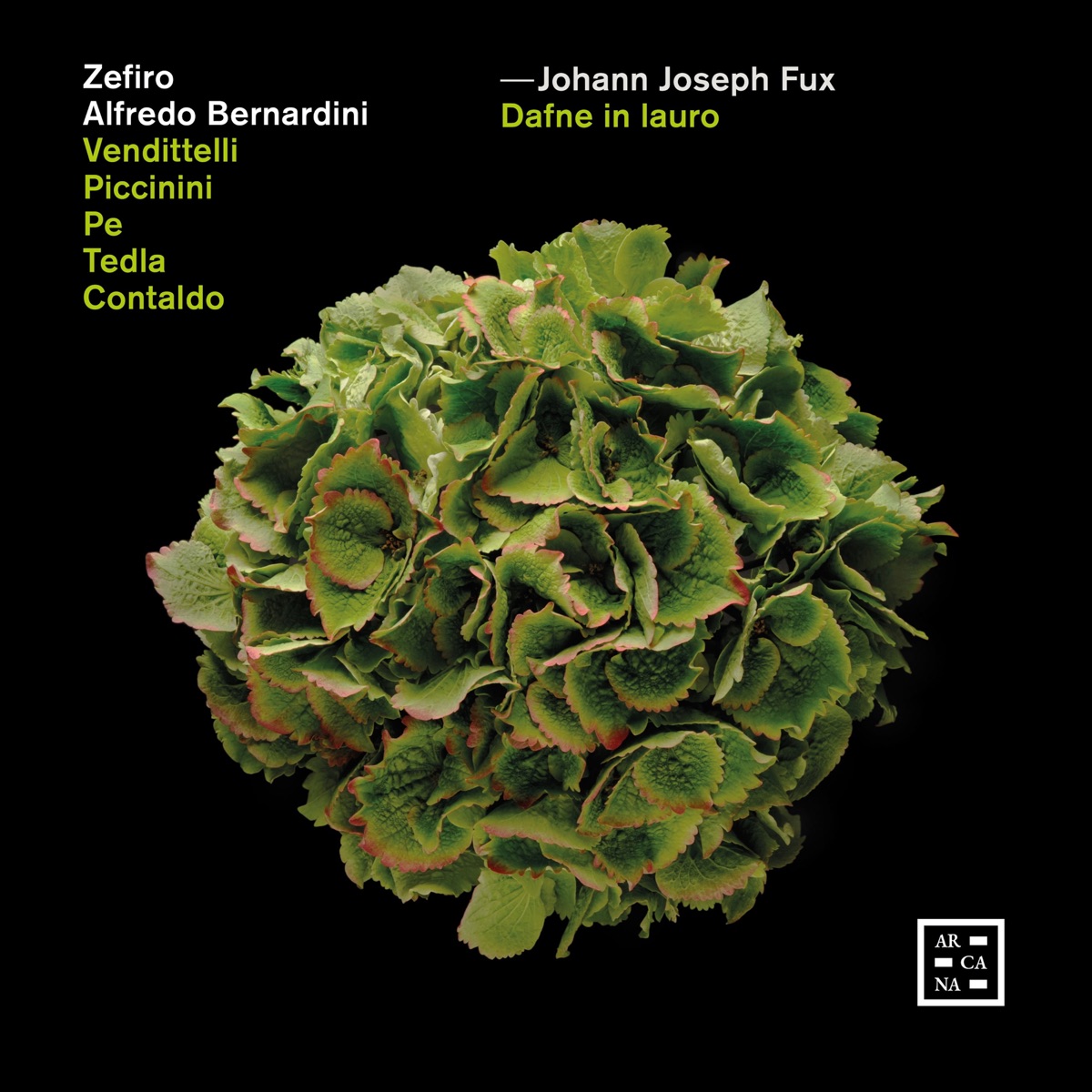 Fux: Dafne in lauro by Zefiro & Alfredo Bernardini album cover
