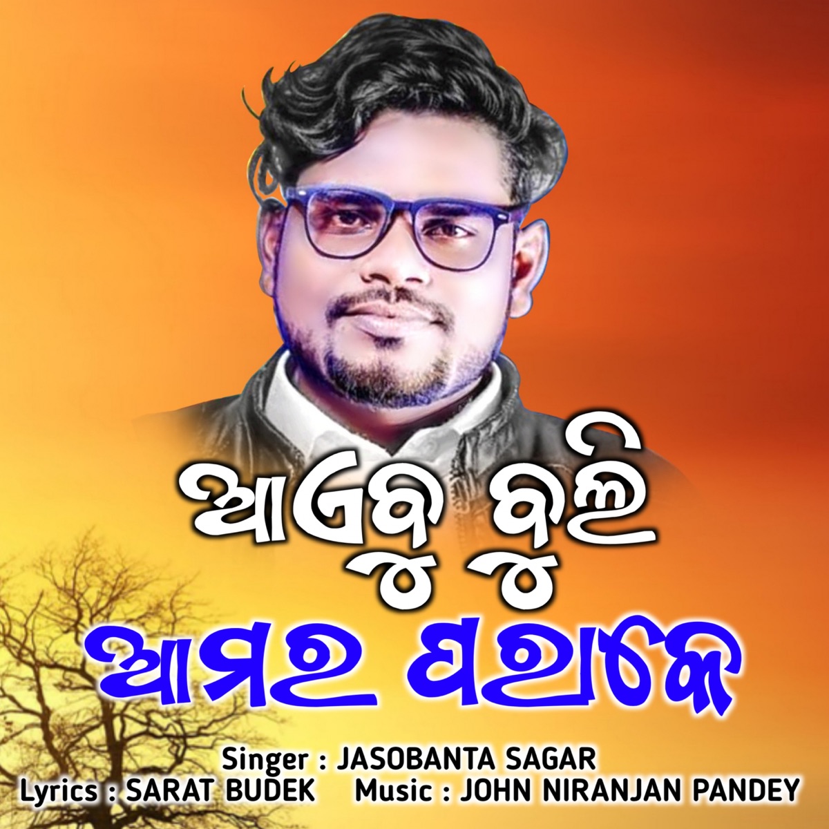 Aaebu Buli Amar Parake - Single by Jasobanta Sagar album cover