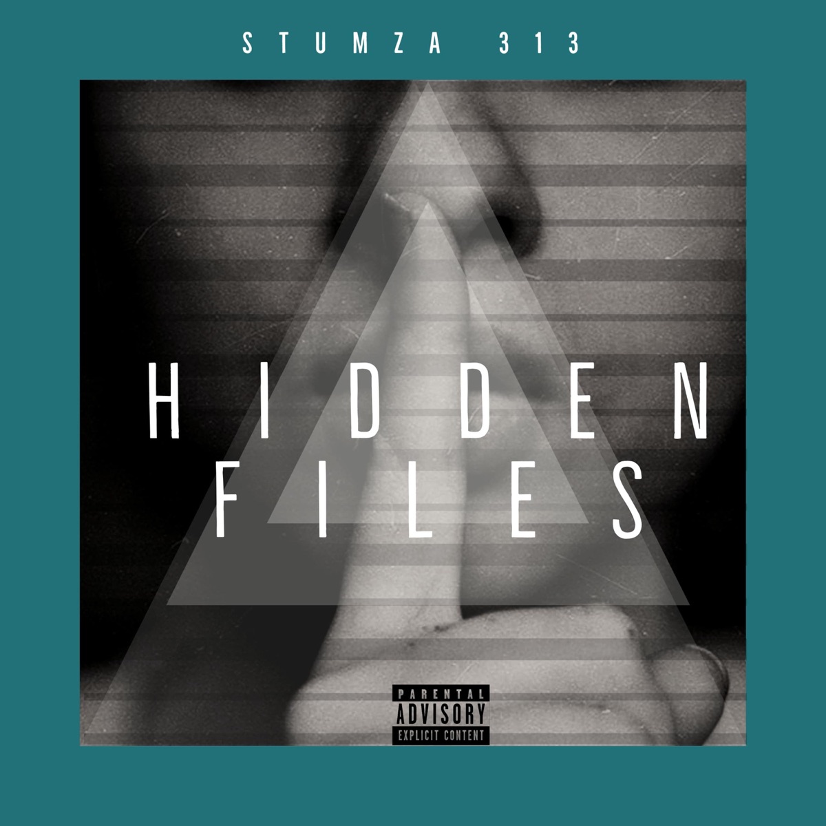 Hidden Files - Single by Stumza 313 album cover