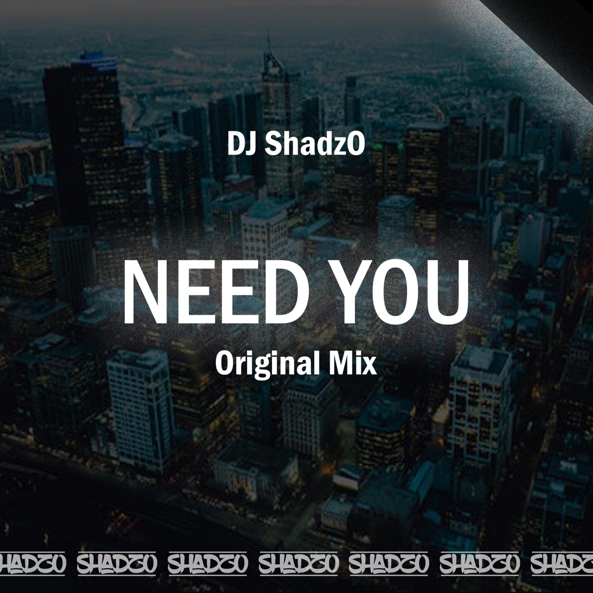 Need You - Single by Dj Shadzo album cover