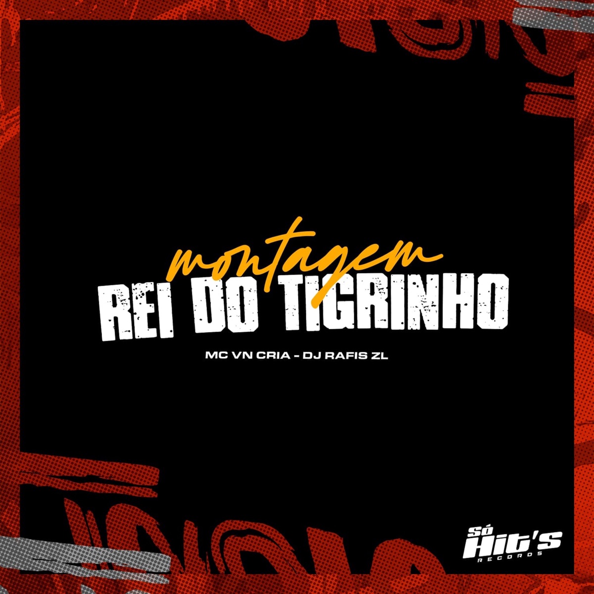 Montagem Rei do Tigrinho - Single by DJ RAFIS ZL & MC VN Cria album cover