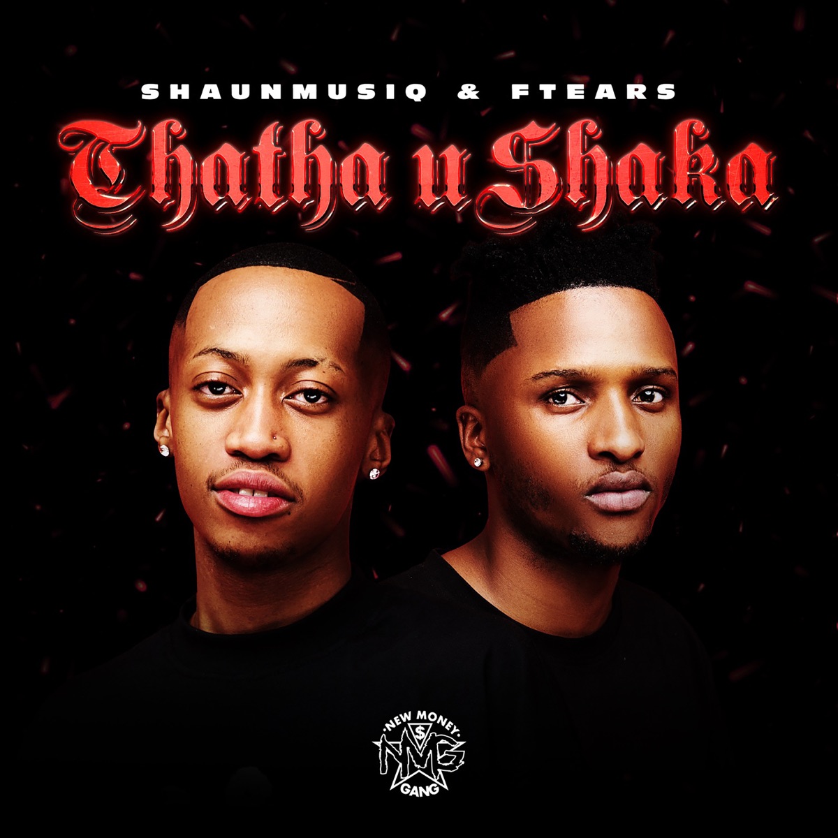THATA USHAKA - Single by ShaunMusiQ & Ftears album cover