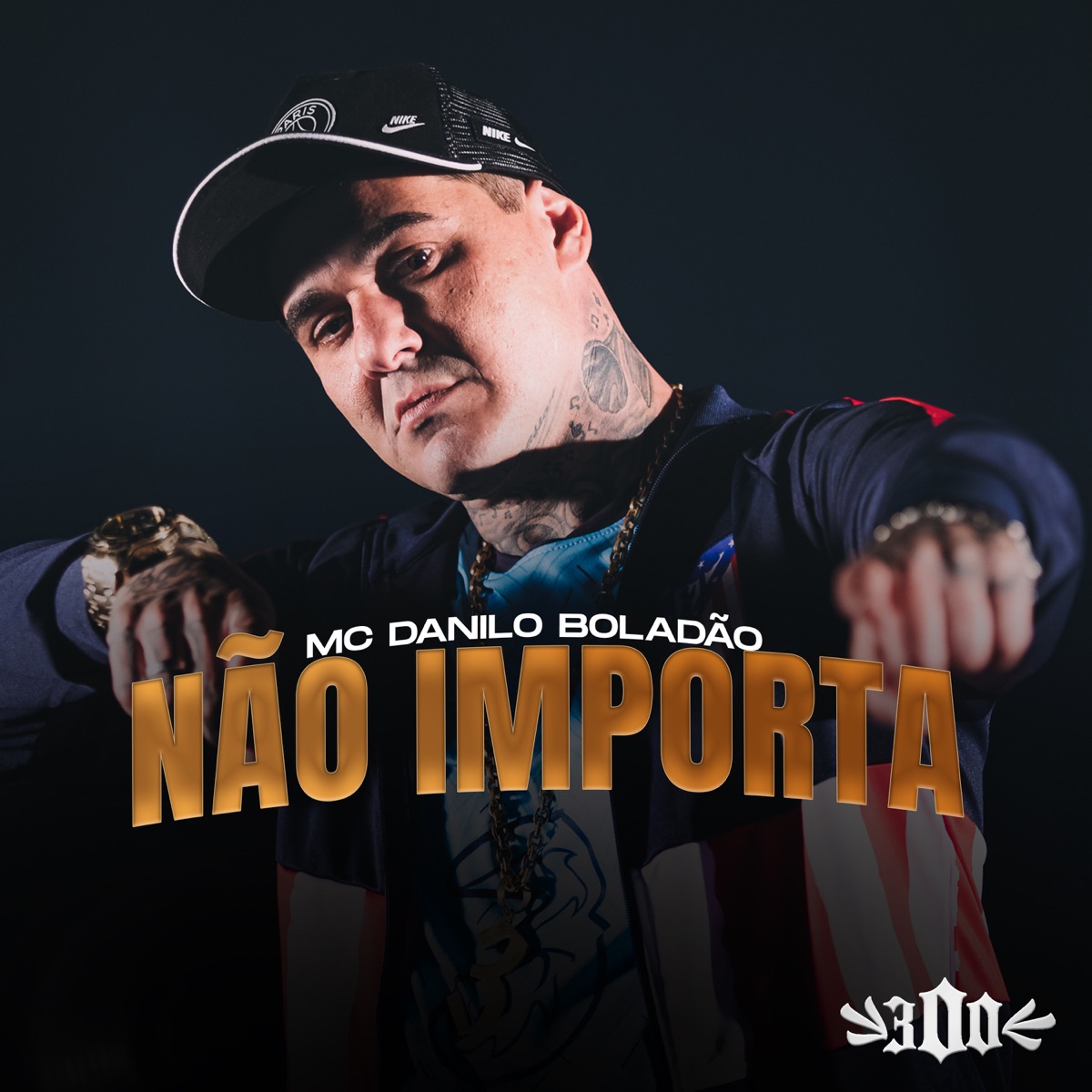 Não Importa - Single by MC Danilo Boladão album cover