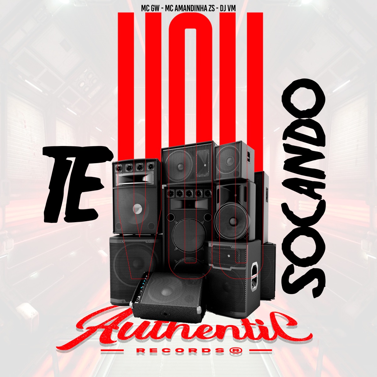 Vou Te Socando (feat. MC GW & Mc Amandinha Zs) - Single by DJ VM album cover