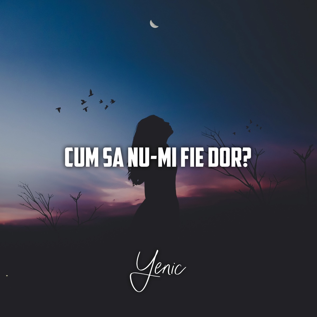 Cum Sa Nu-mi Fie Dor? - Single by Yenic album cover