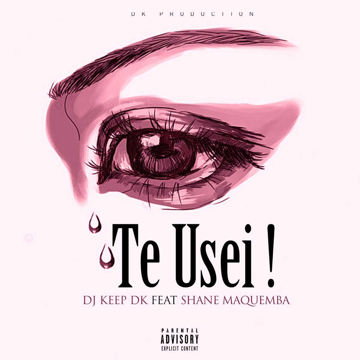 Te Usei !? (feat. Shane Maquemba) [Dk Prod - Special Version] - Single by Dj Keep Dk album cover