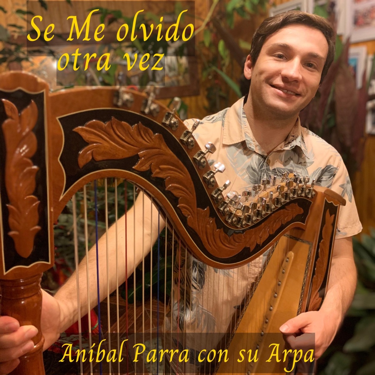 Se me olvidó otra vez (feat. Moro Gonzalez) - Single by Anibal Parra con su Arpa album cover