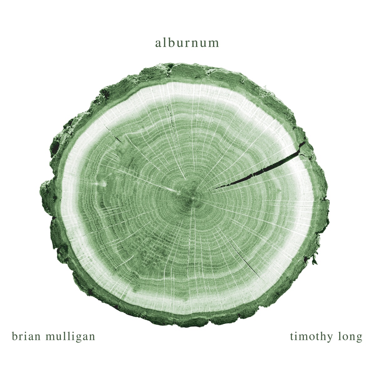 Alburnum by Brian Mulligan & Timothy Long album cover