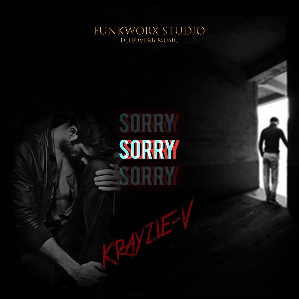 Sorry (feat. Rudebwoy MNL & Echoverb Music) - Single by Krayzie-V album cover