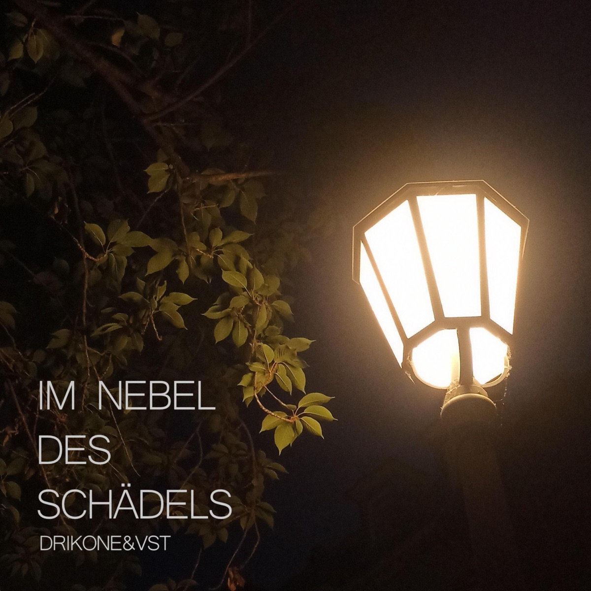 Im Nebel des Schädels (feat. Vst) - Single by DrikOne album cover