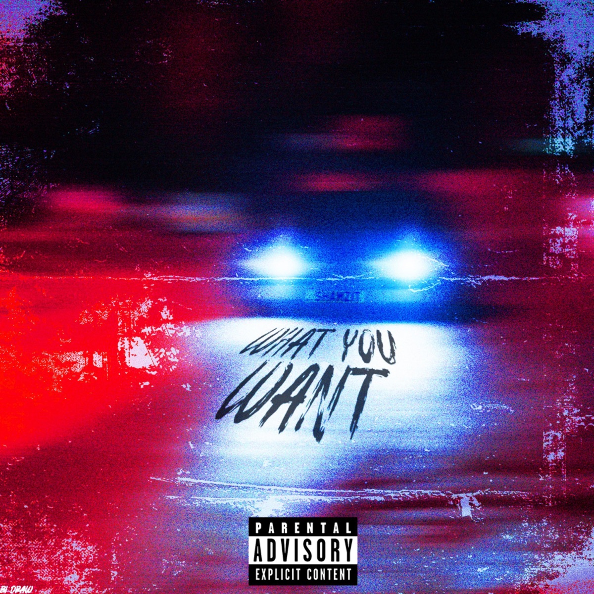 What You Want - Single by $hamZit album cover