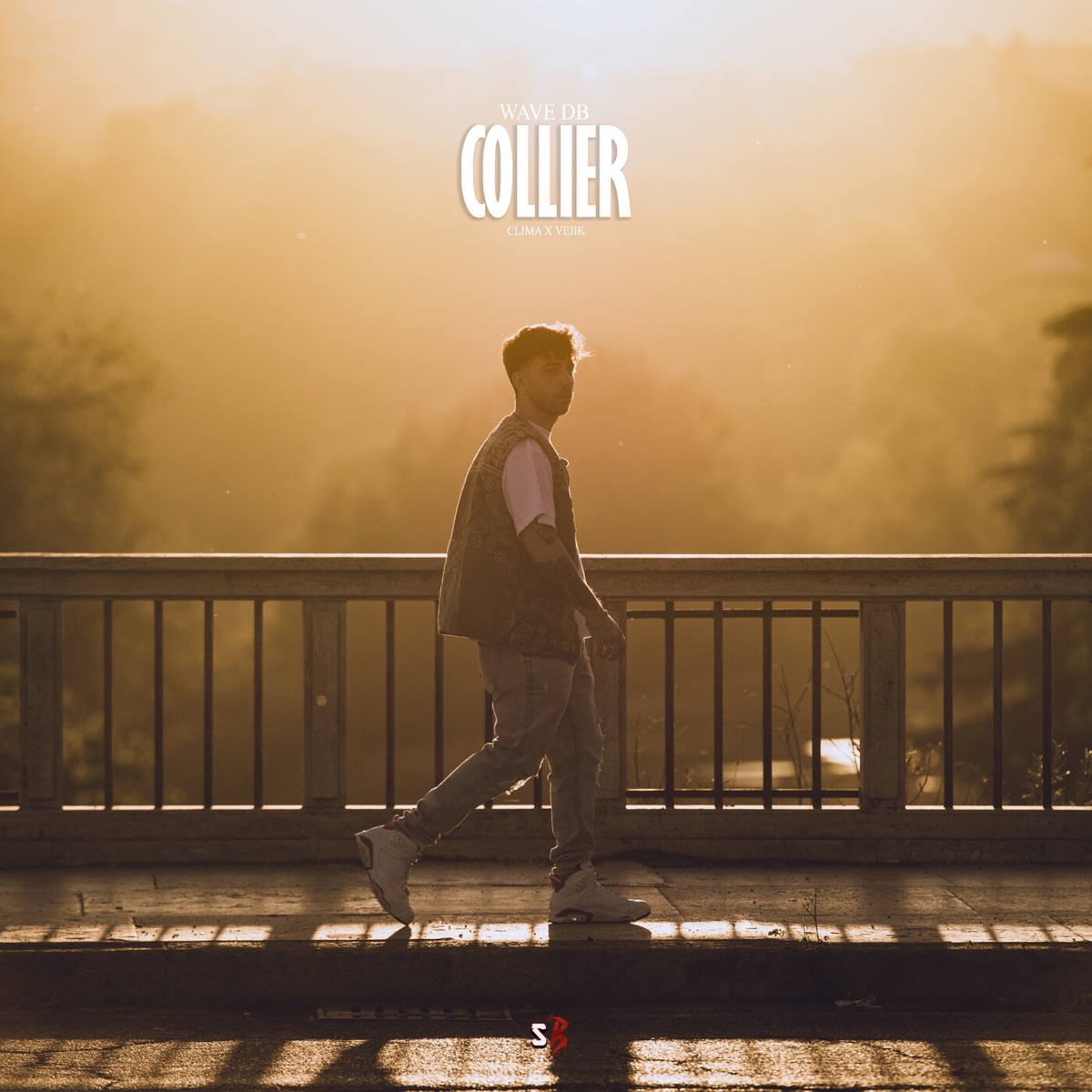 Collier (feat. Vejik) - Single by Wave DB & Clima album cover