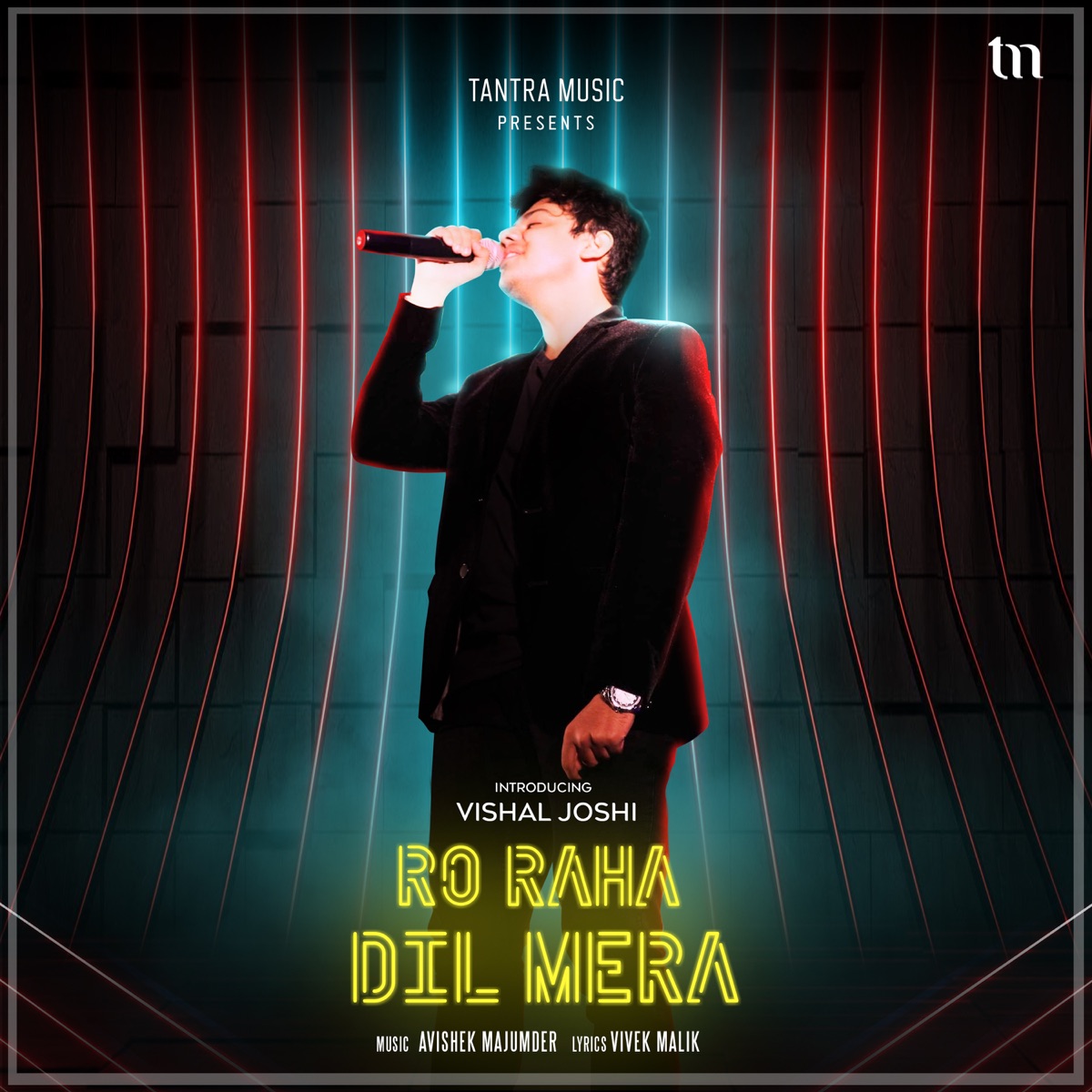 Ro Raha Dil Mera - Single by Vishal Joshi & Avishek Majumder album cover