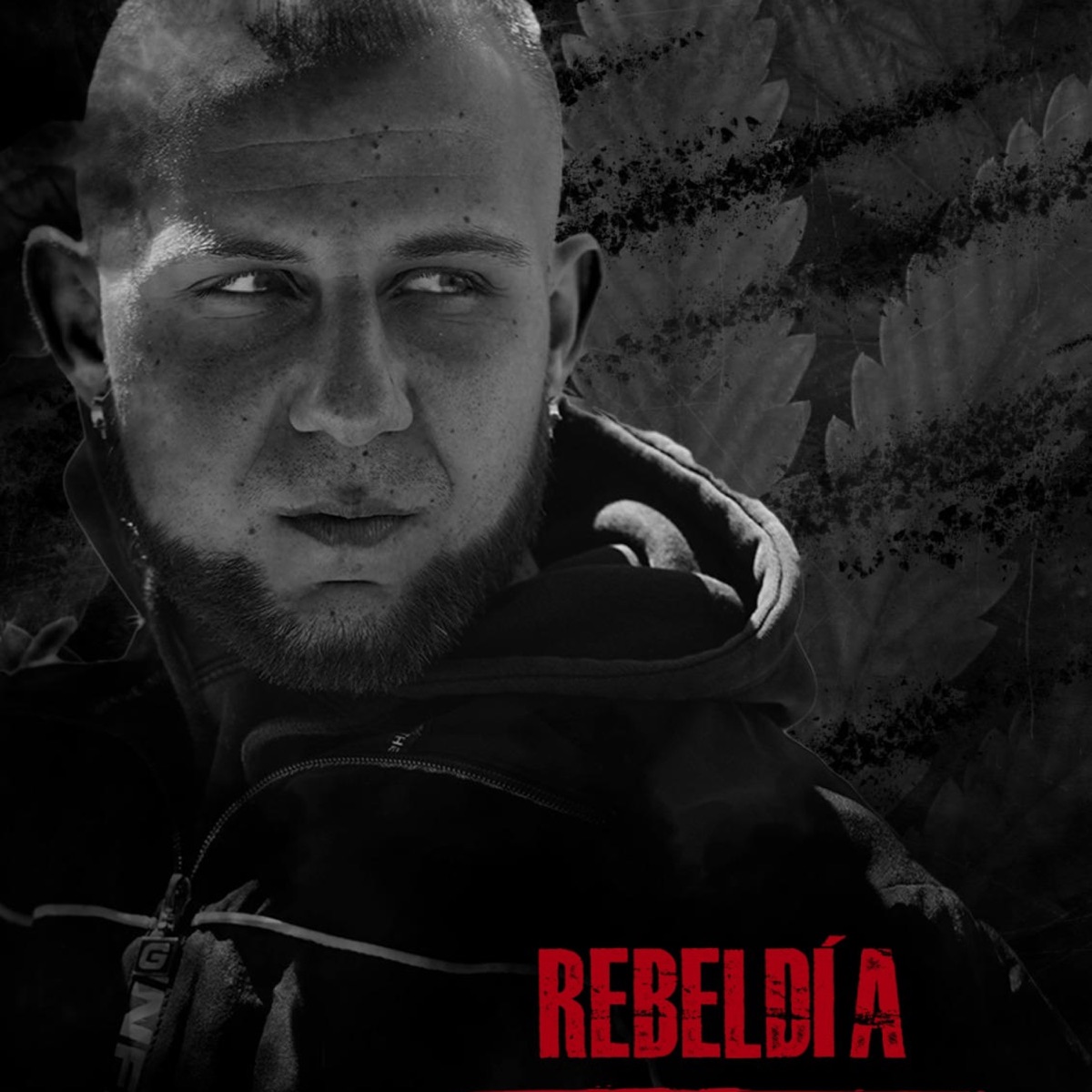 Rebeldía - Single by Calejos Yoyo album cover