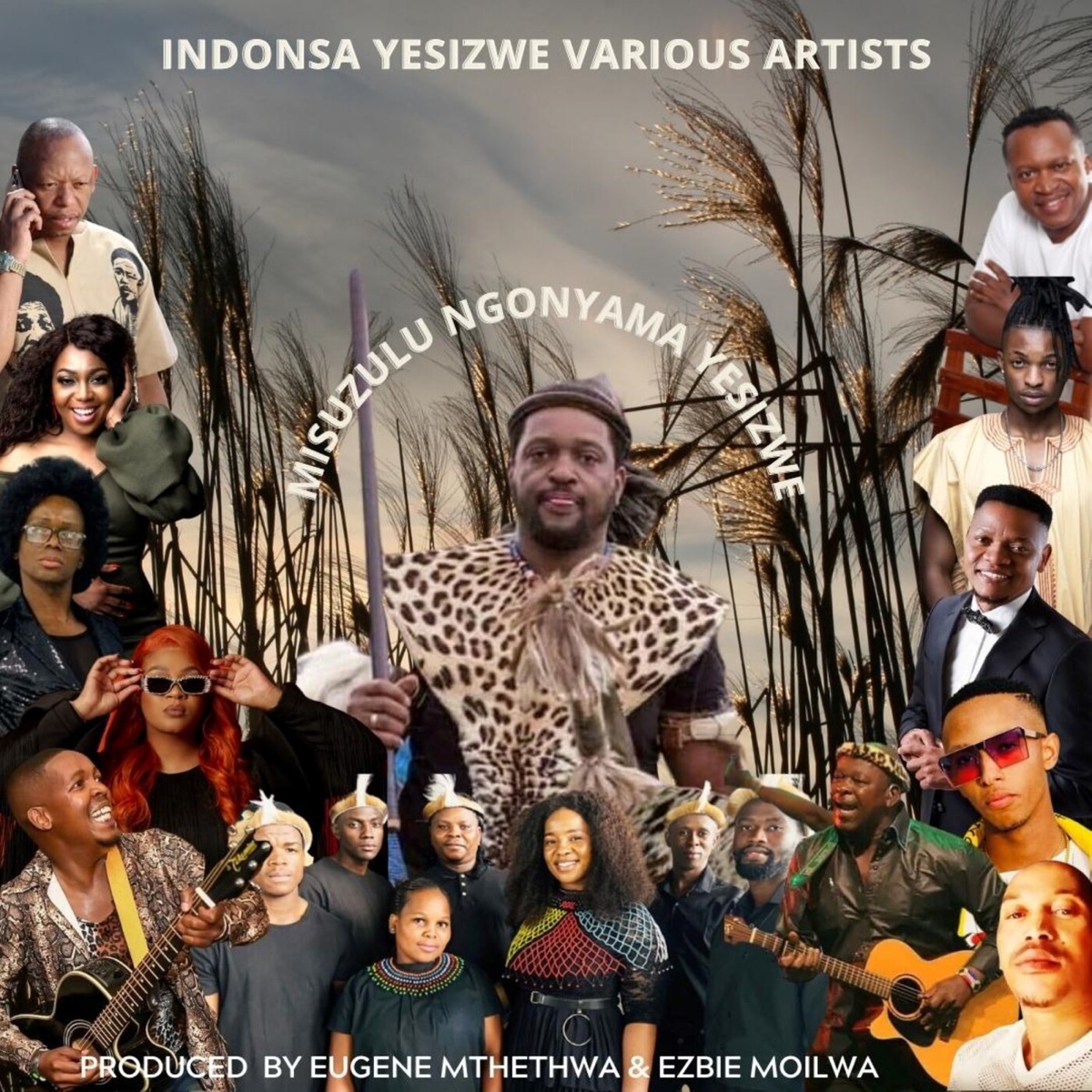 Misuzulu Ngonyama Yesizwe (feat. Lady Du, Phuzekhemisi, Mbuzeni, Sbu Banda, Nkiyase, FREYMUSIQ, Liyasa, Mageba, Simply Eugene & Ezbie) - Single by Indonsa Yesizwe album cover