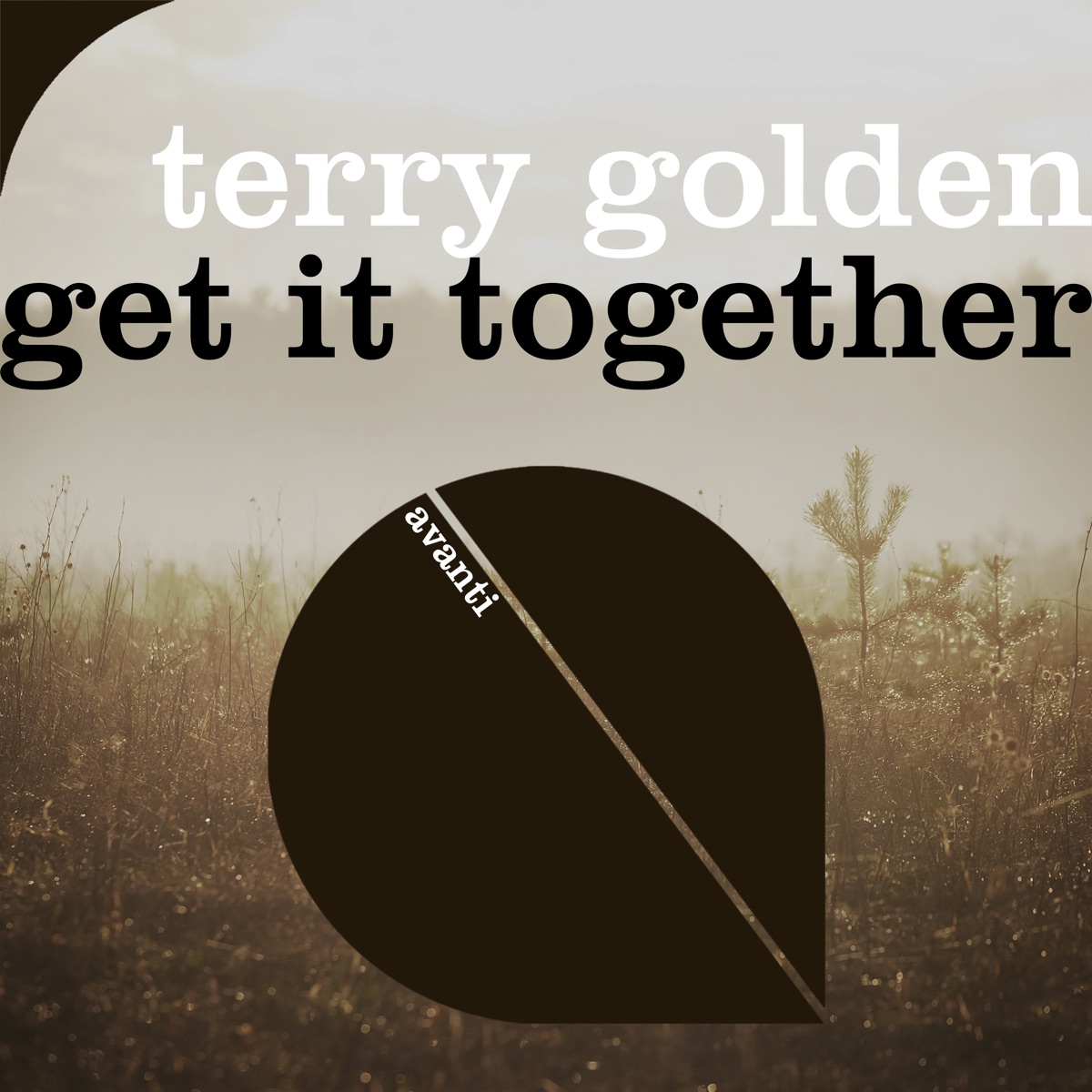 Get It Together - Single by Terry Golden album cover