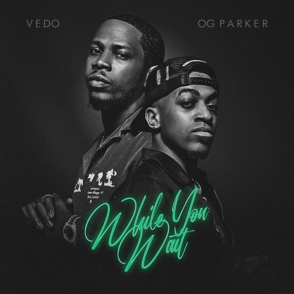 While You Wait by VEDO & OG Parker album cover