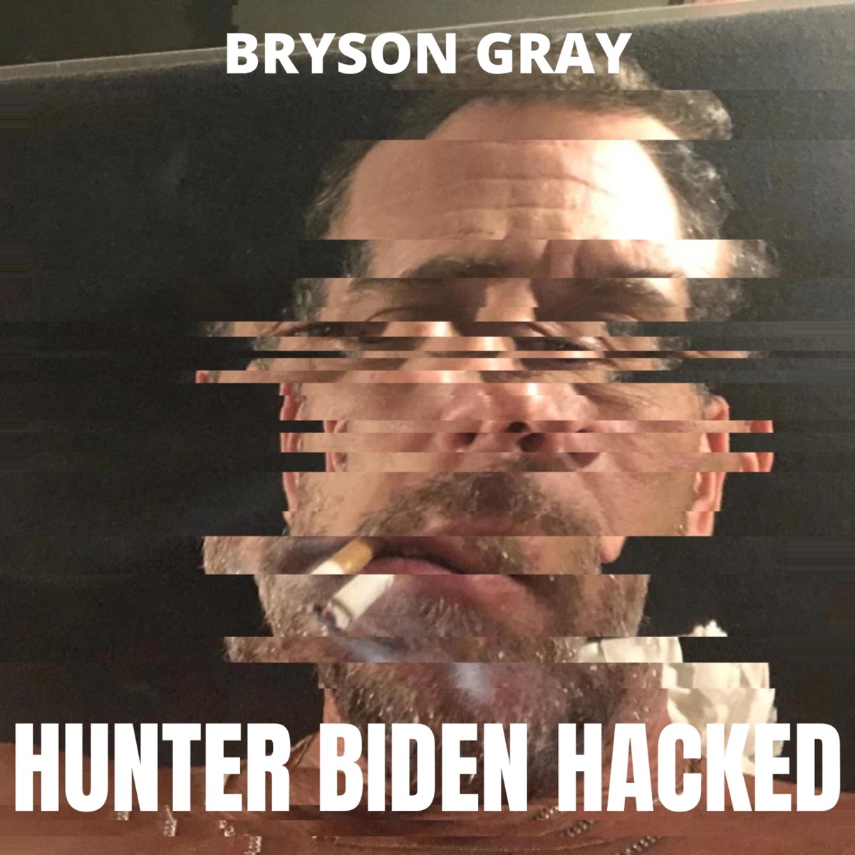 Hunter Biden Hacked - Single by Bryson Gray album cover