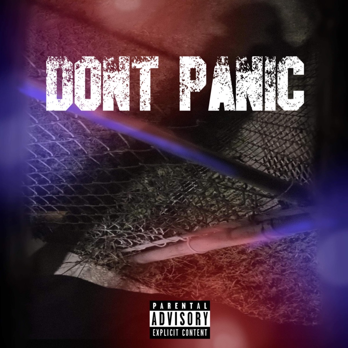 Dont Panic (feat. yungdrugavell) - Single by LBM GrillZ album cover