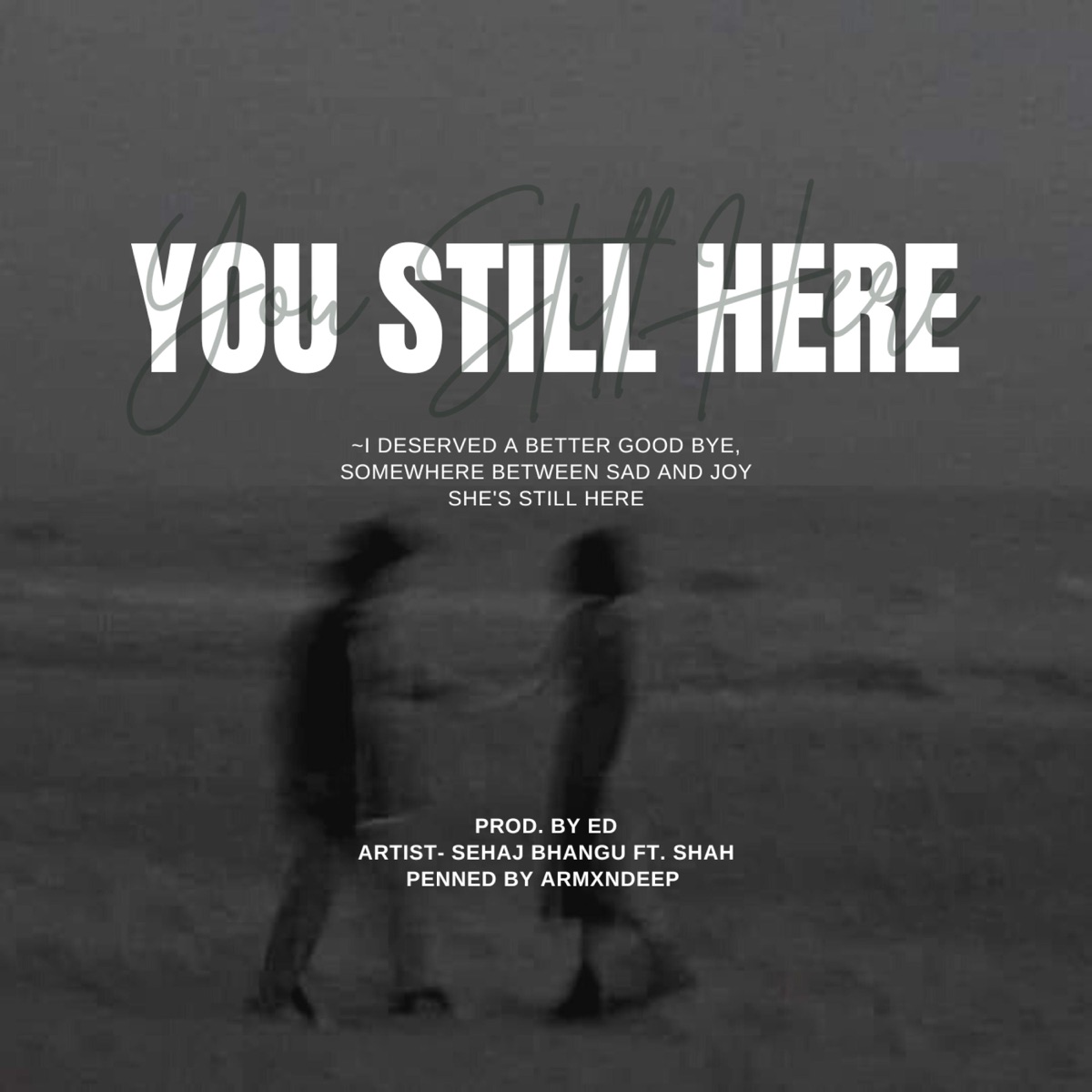 You still here (feat. Sehaj bhangu, Shah & ED) - Single by Armxndeep album cover