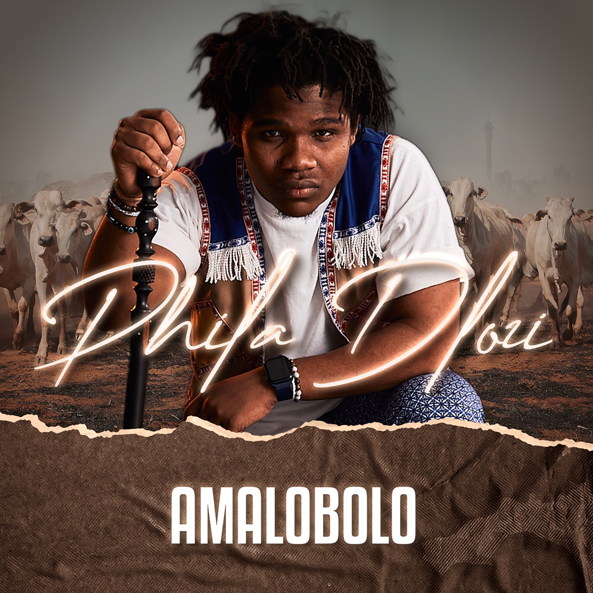 Amalobolo - Single by PHILA DLOZI album cover