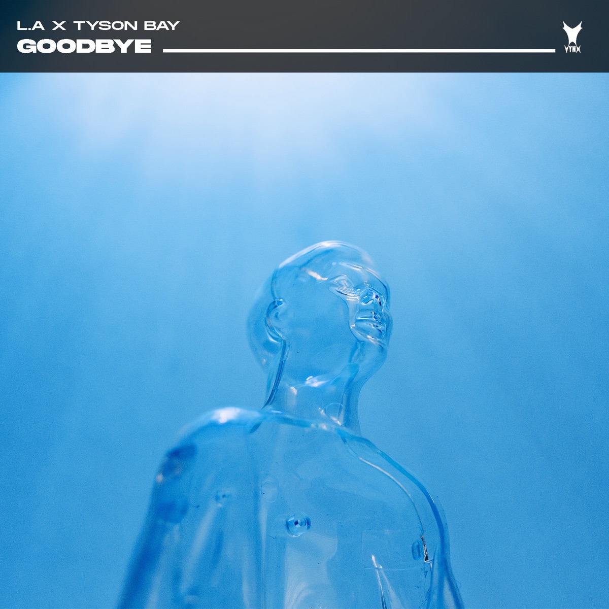 Goodbye - Single by L.A. & Tyson Bay album cover