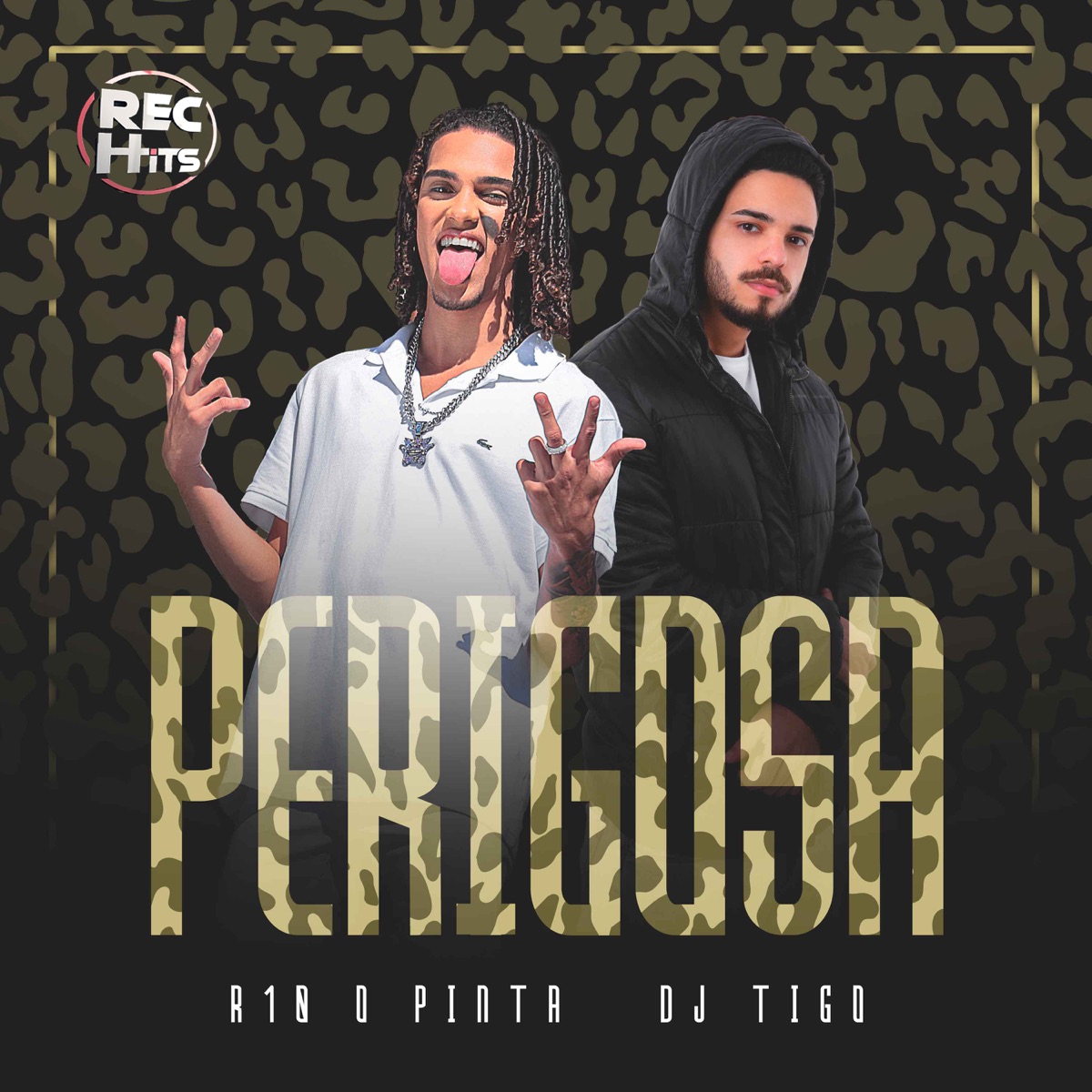 Perigosa - Single by Dj Tigo & R10 o Pinta album cover