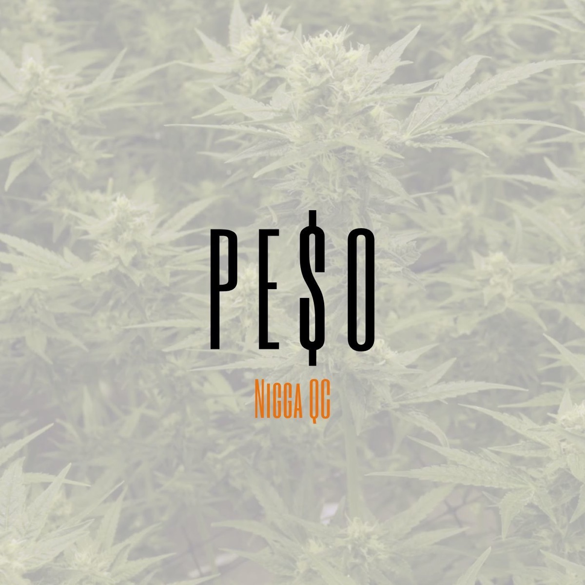 Pe$o (feat. Kxme QC) - Single by Nigga QC album cover