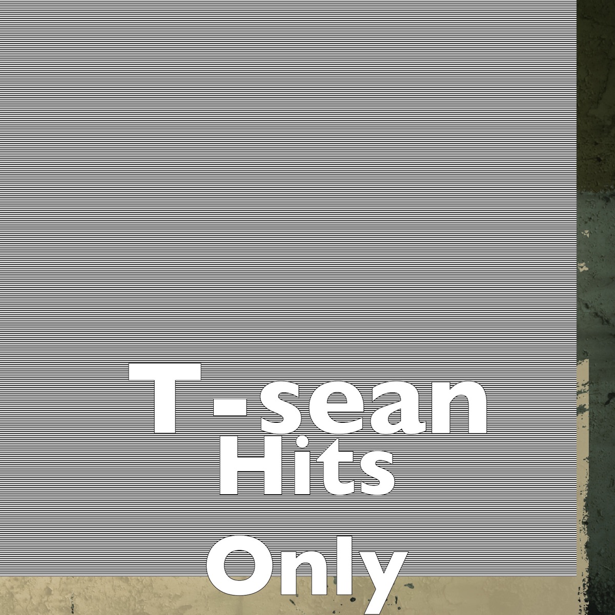 Hits Only by T-Sean album cover