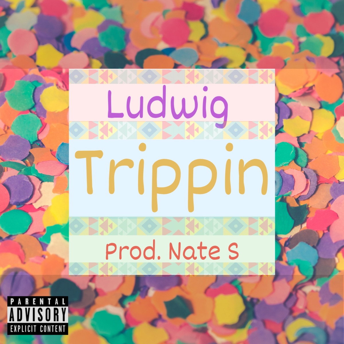 Trippin - Single by Ludwig & Nate S album cover